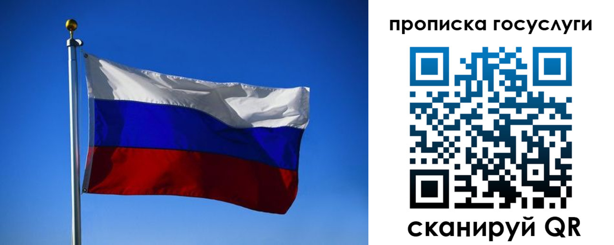 временная регистрация госуслуги в Светлогорске